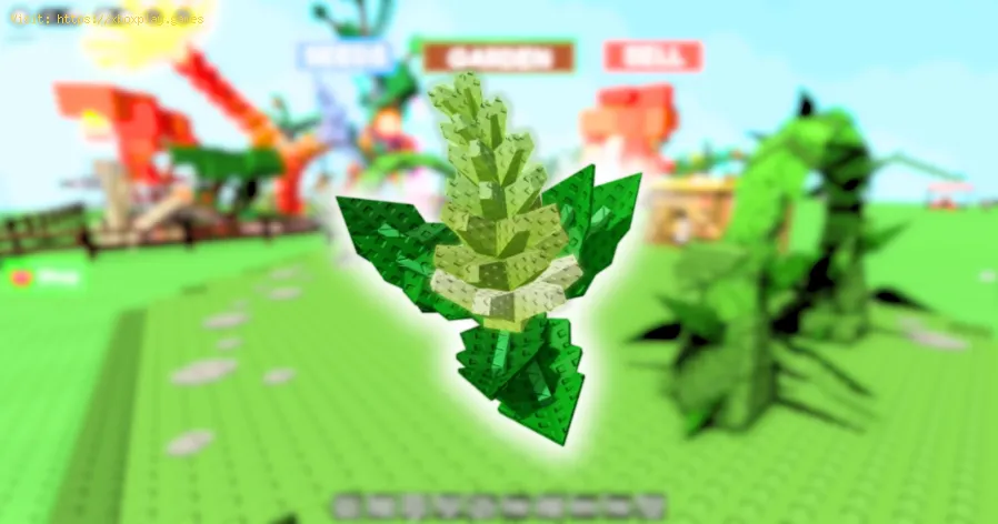 Grow a Garden: So erhalten Sie Romanesco