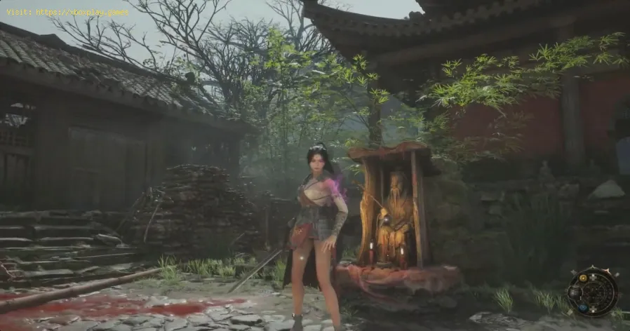 Wuchang: How To Get the Delicate Hairpin