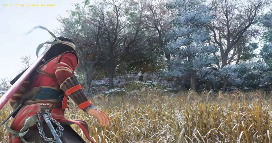 Assassin's Creed Shadows Claws of Awajiのすべての秘密の宝の場所-1