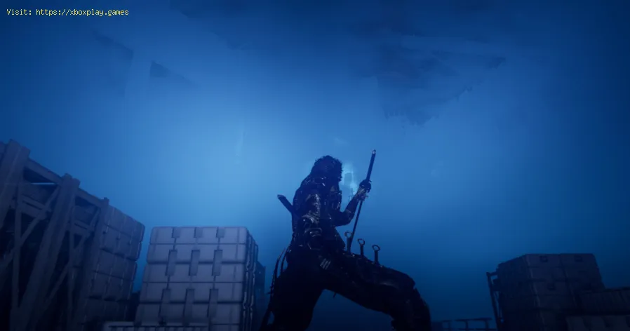 Ninja Gaiden 4の予約スキンが見つからない問題の修正方法-1