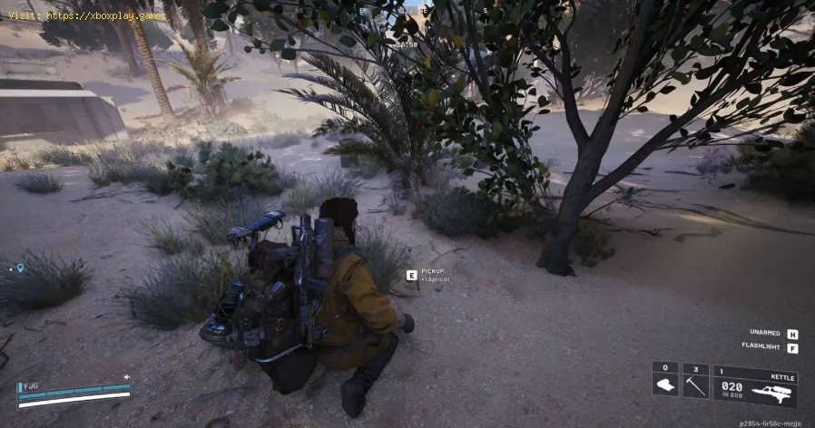 Arc Raiders : Trouvez des citrons et des abricots