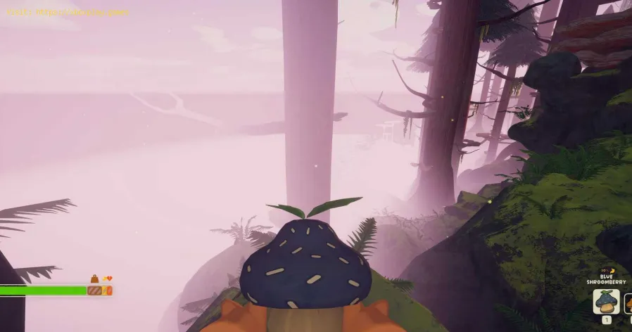 PEAK : How to Find Shroomberries