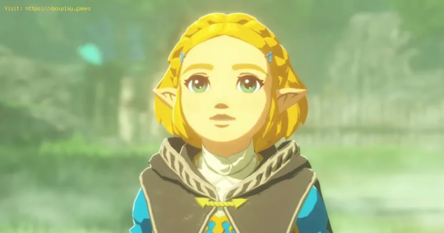 Hyrule Warriors Age of Imprisonmentで「大高原へ」クエストを完了する方法-1