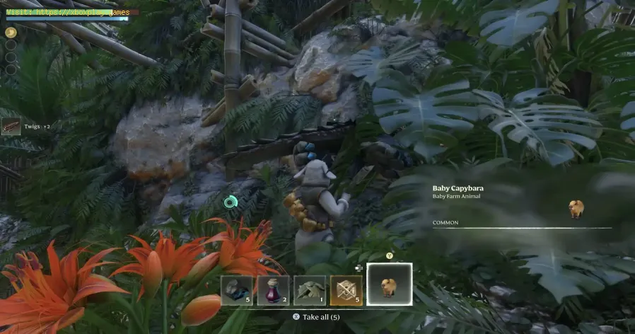 Enshrouded Wake of the Waterでカピバラを入手する方法-1