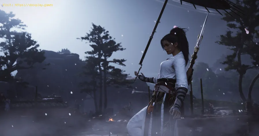 Where Winds Meet: Comment obtenir une rotation planante