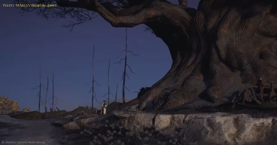 Where Winds Meetでガーディアンパームスキルを取得する方法-1