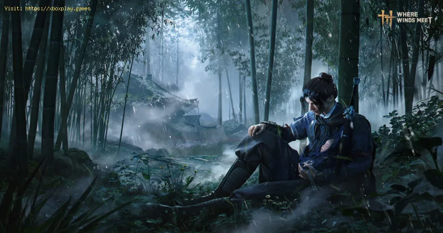 Where Winds MeetでDiscord用のWindtailアバターデコレーションを入手する方法-1