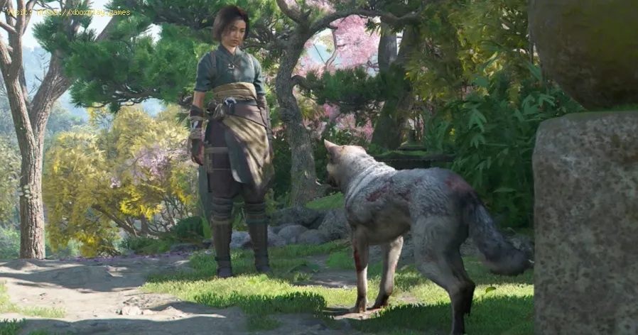 Assassin's Creed Shadowsで「犬に新しいキックを教える」クエストを完了する方法-1