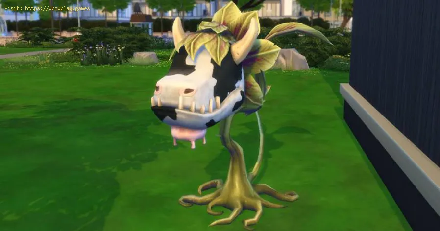 The Sims 4: Wie man eine Kuhpflanze bekommt