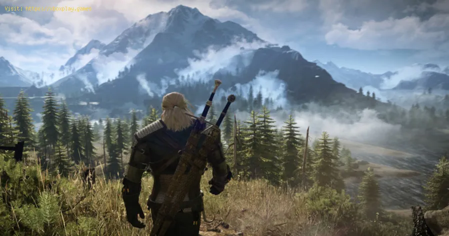 Witcher 3 Wild Hunt: Emplacements de toutes les caches de contrebandiers