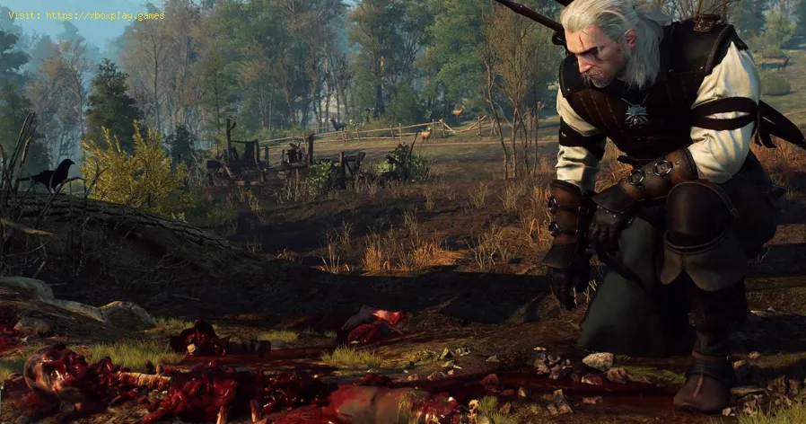 The Witcher 3 Wild Hunt: Emplacements de tous les nids de monstres