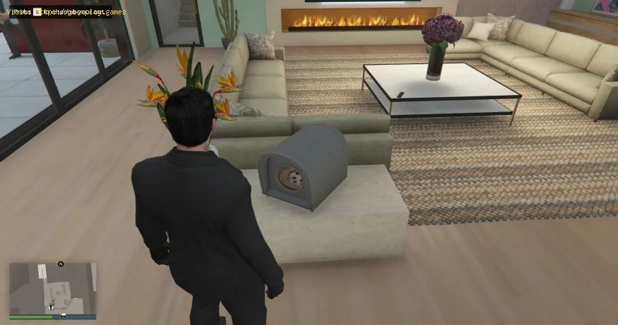 GTA Online: How To Get Cats in A Safehouse in the Hills DLC