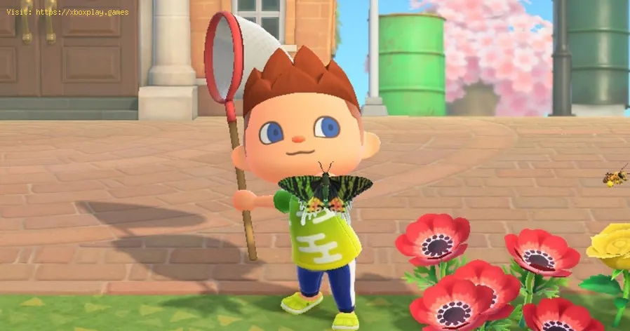 Animal Crossing New Horizons: Wie man eine Atlasmotte fängt