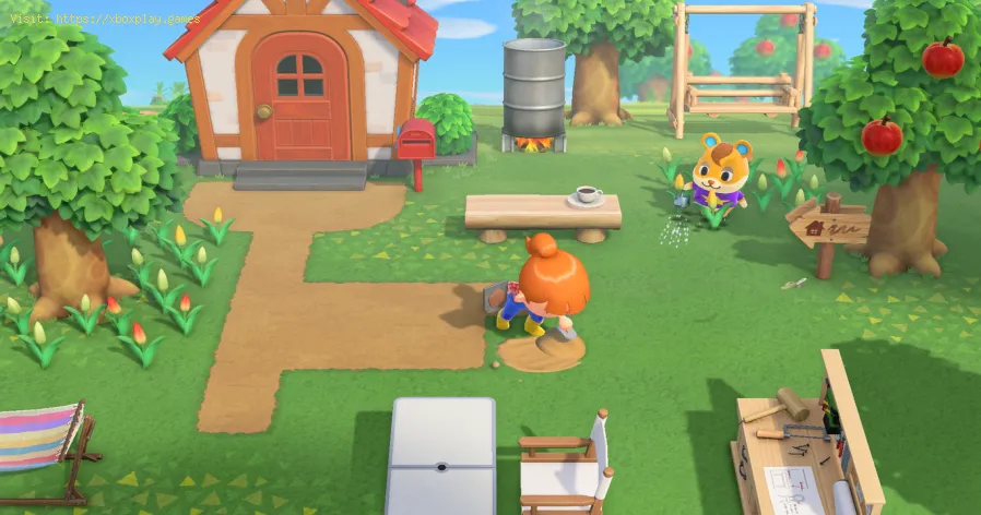 Animal Crossing New Horizons: dónde encontrar el tesoro de Jolly Redd