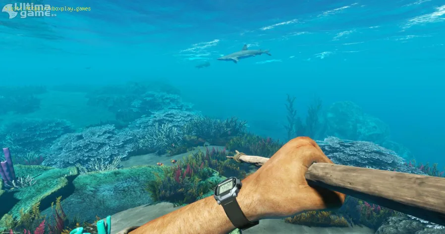 Stranded Deep: onde encontrar criaturas e vida selvagem