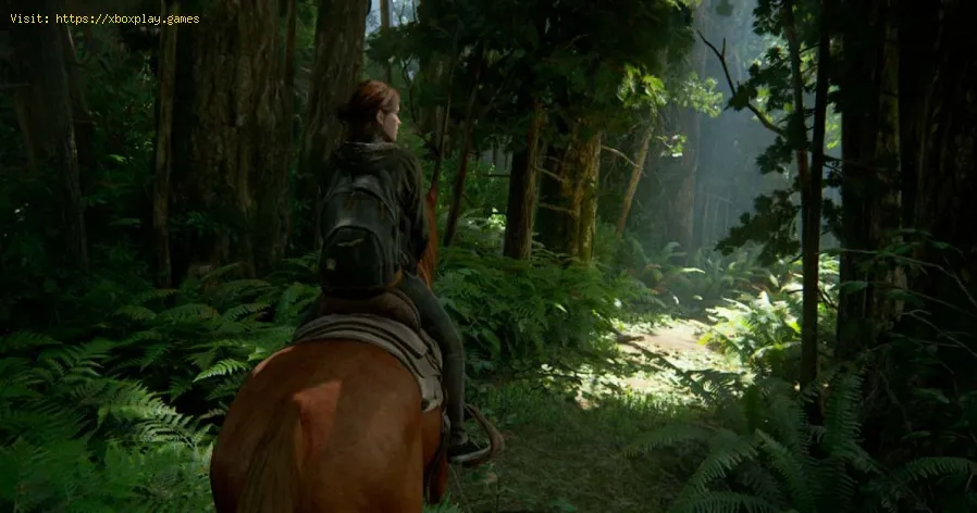 Last of Us 2: el código de de la caja fuerte de la farm