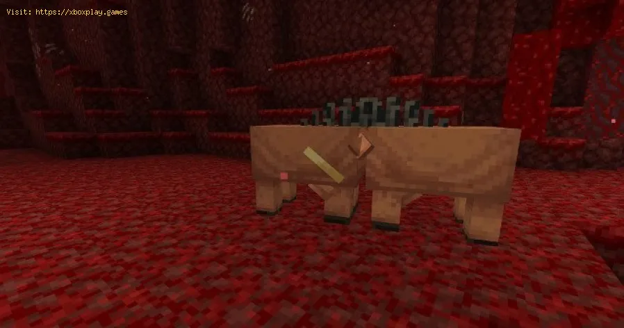 Minecraft Nether: Como domar um Hoglin