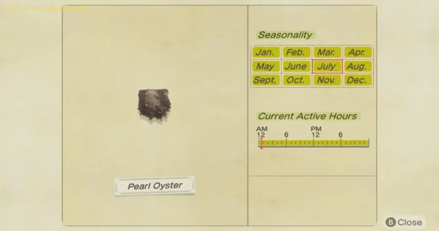 Animal Crossing New Horizons: come catturare l'ostrica perlata