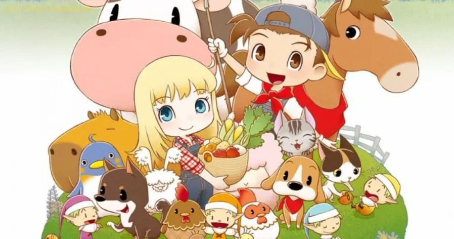 Story Seasons Friends Mineral : mehr Holz und Stein bekommt