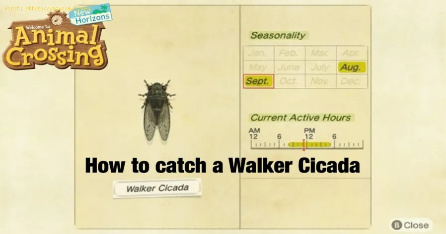 Animal Crossing New Horizons: Cómo atrapar cigarra caminante