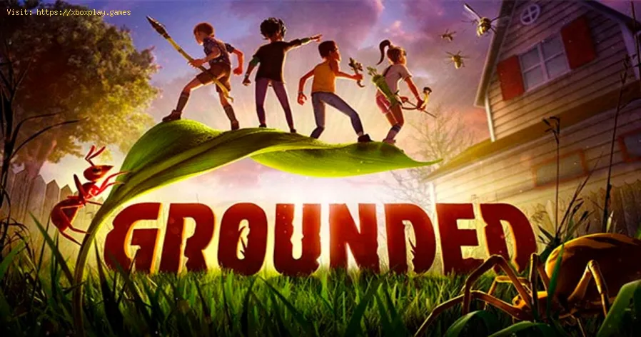 Grounded: How to get mushroom garden