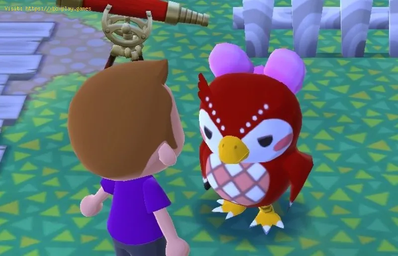 Animal Crossing New Horizons Where to Find Celeste