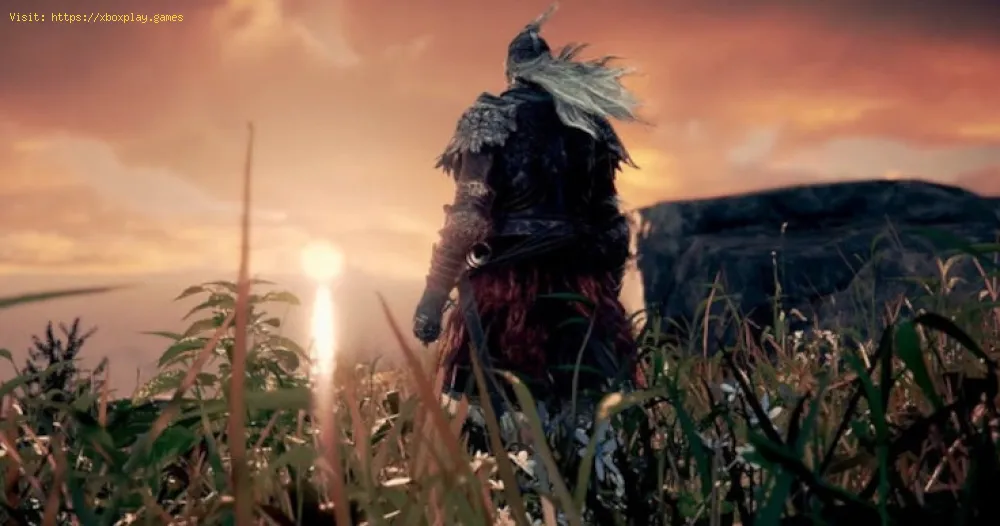 Elden Ring Where to Find Drainage Channel Site of Grace