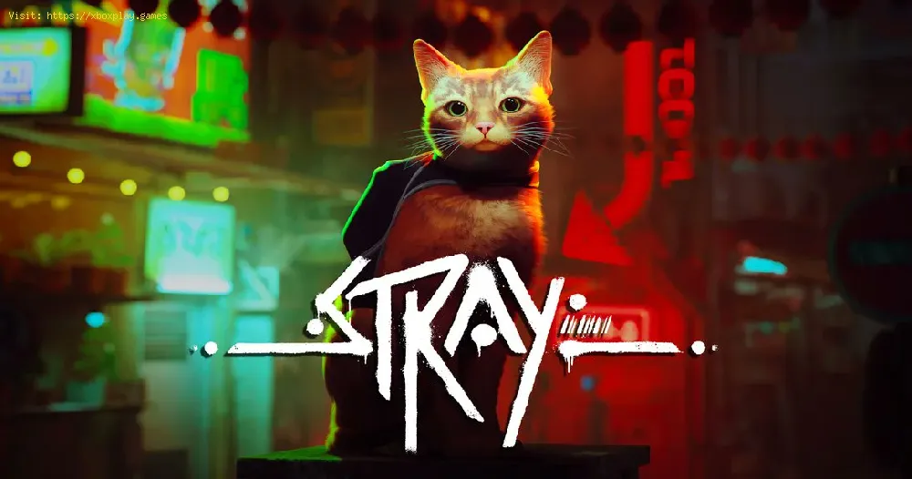 How to customize your cat in Stray