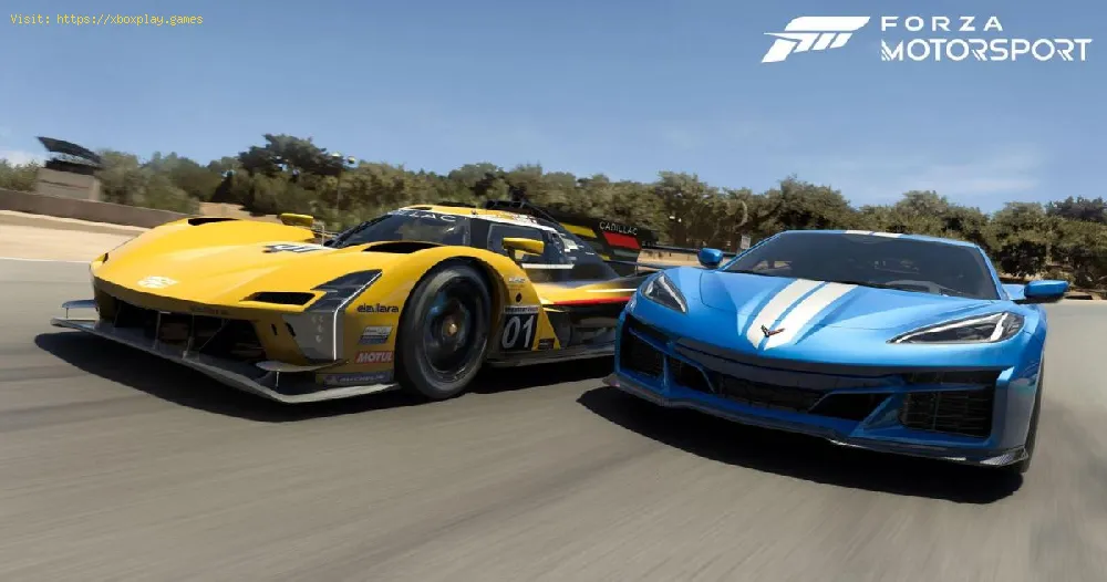 Fix Forza Motorsport Unable to Launch in Fullscreen