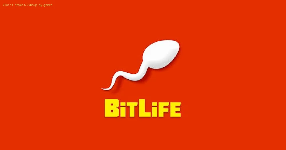 Become a Flight Attendant in BitLife