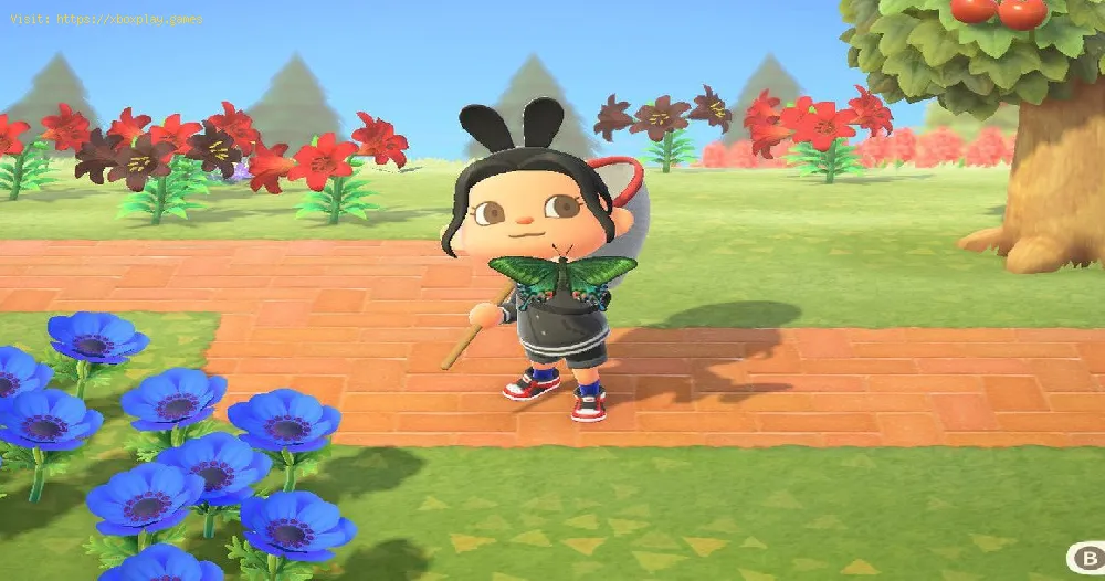 Animal Crossing New Horizons：アレクサンドラ女王から鳥を取得する方法