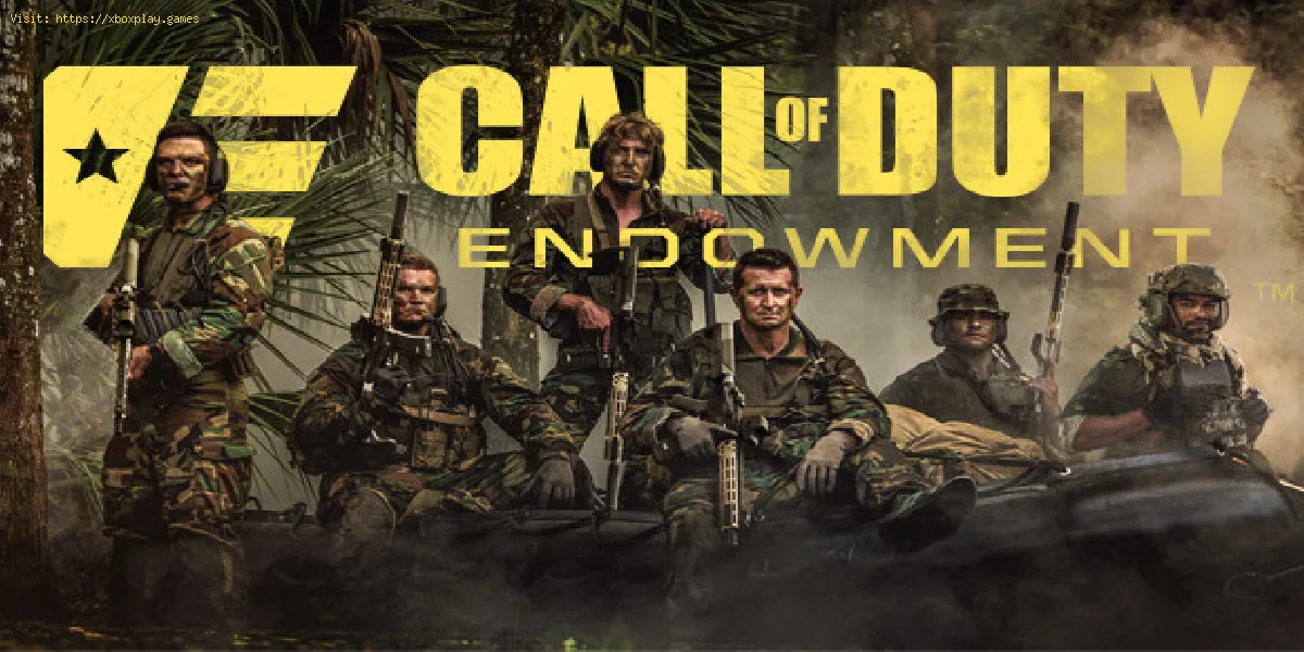 Call of Duty Endowment aide 11 organisations et 54 000 anciens combattants