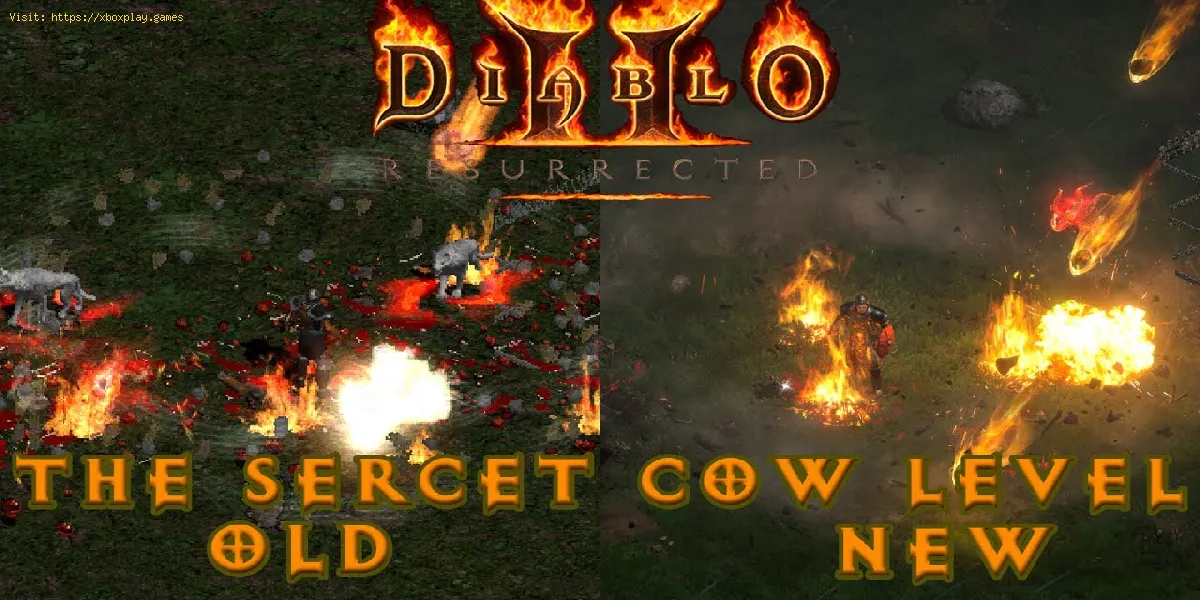 Diablo 2 Resurrected : Où trouver le niveau secret de la vache