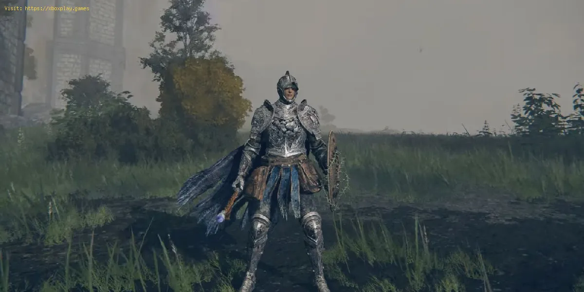 Elden Ring: So erhalten Sie das Gelmir Knight Armor Set