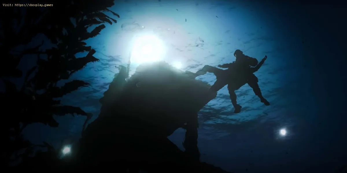 Wie funktioniert der Unterwasserkampf in Modern Warfare 2?