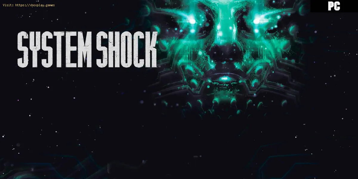 Wie erhalte ich den Roboterwartungscode in System Shock?