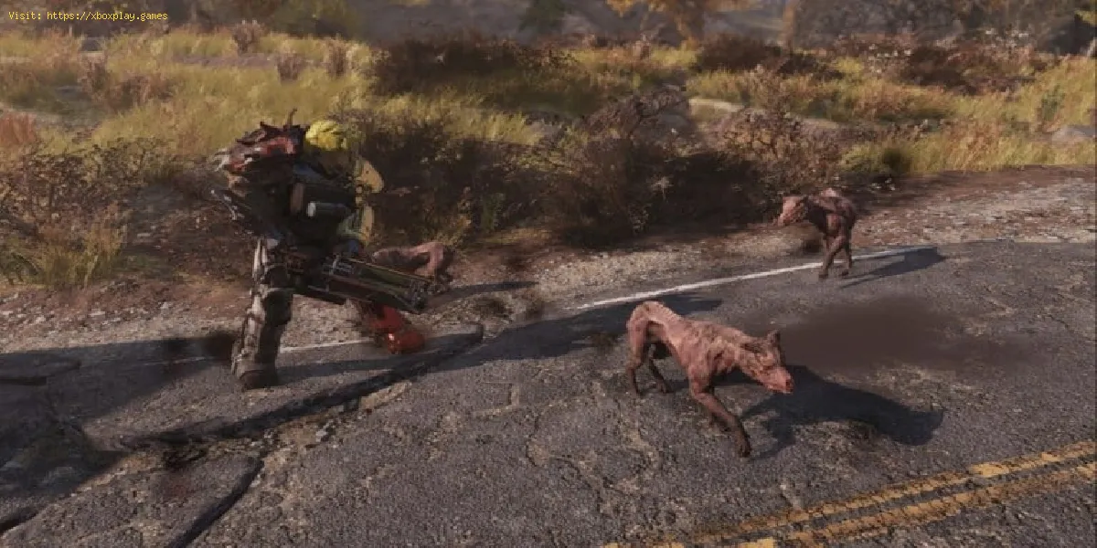 Tous les emplacements canins dans Fallout 76