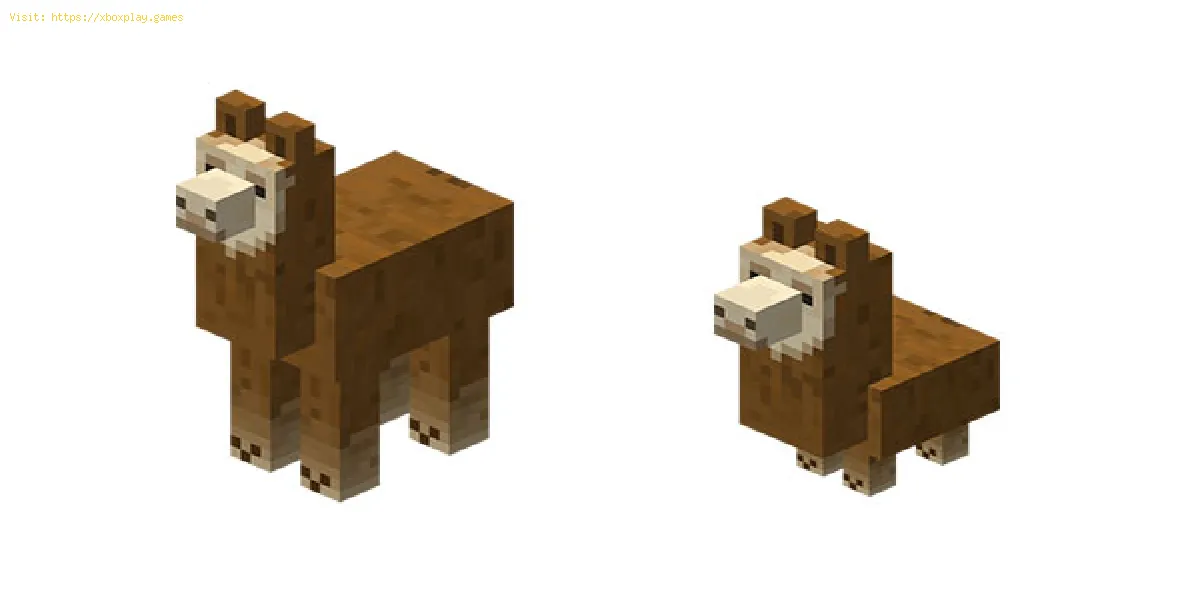 Minecraft: Wie man Lamas zähmt