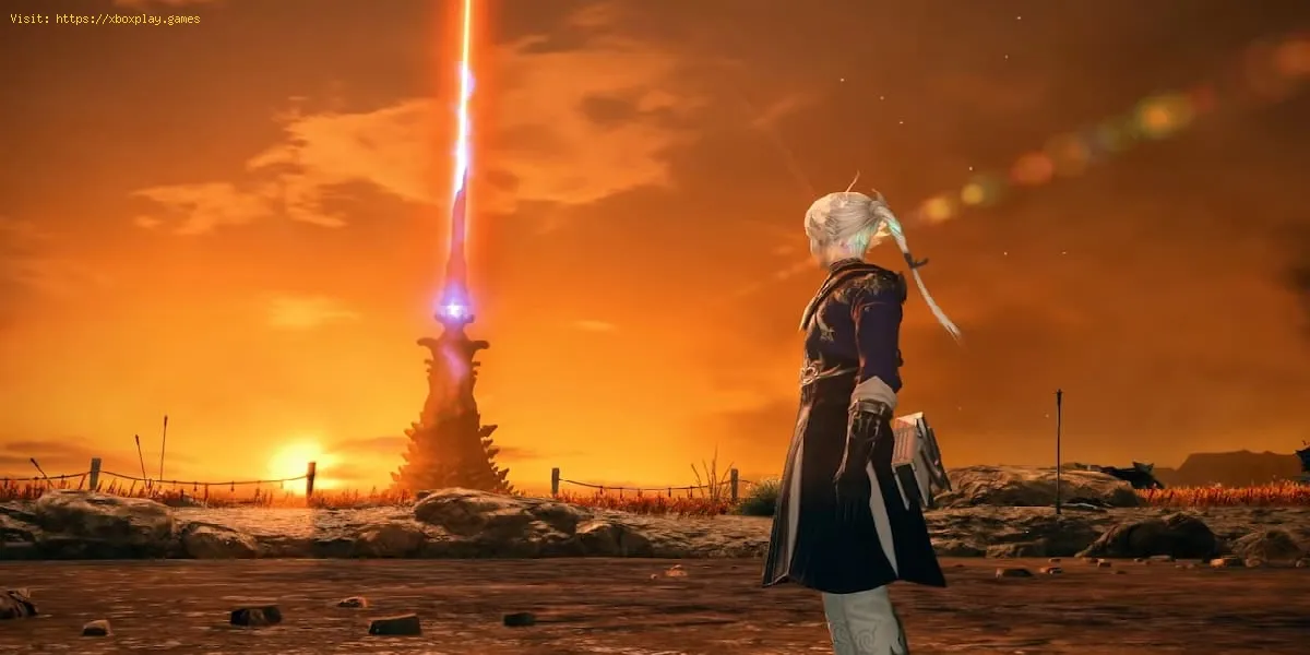 Final Fantasy XIV: Comment faire le sbire du feu de camp du vagabond