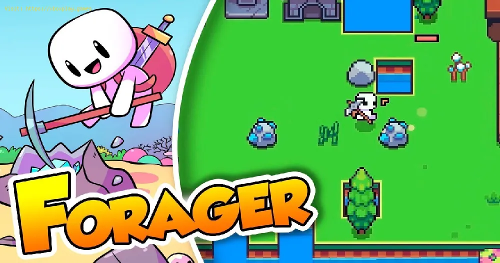 Forager: How to Solve the Fire Galaxy Puzzle