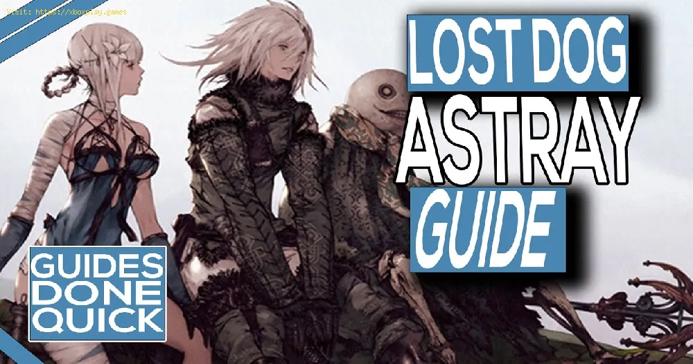Nier Replicant Ver1.22: How to Get Royal Fern