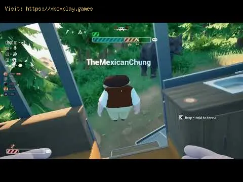Video preview