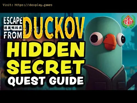 Video preview