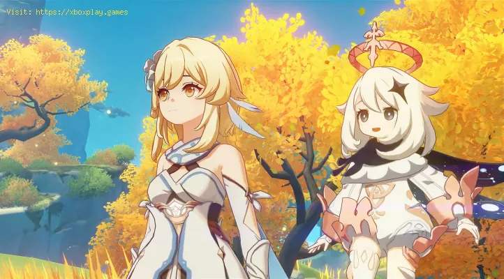 Genshin Impact Pity System Guide