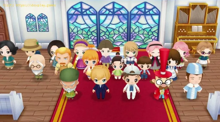 Story Of Seasons Friends Of Mineral Town Wie Man Haustiere Bekommt