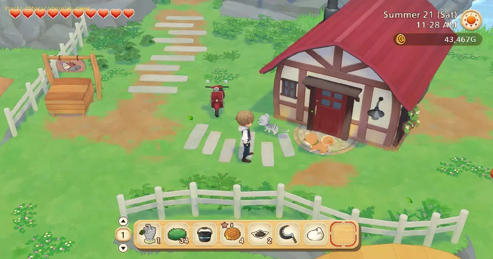 Story of Seasons Pioneers of Olive Town: How to Get Town Medals