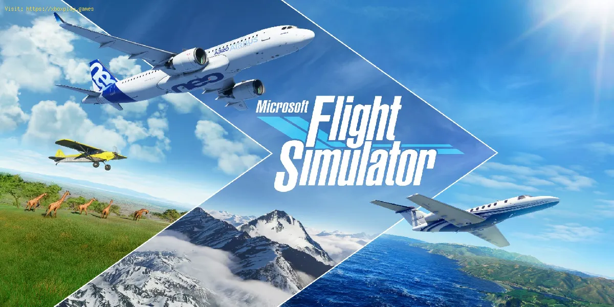 Microsoft Flight Simulator: Wie man das Wetter ändert