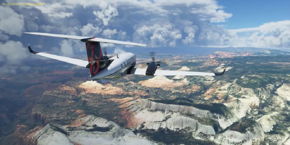 Microsoft Flight Simulator - Unterstützt Einstellungen für neue Spieler