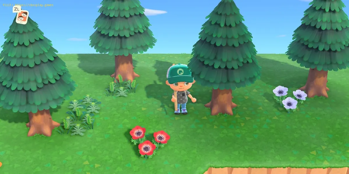 Animal Crossing New Horizons: How to Get Pine Cones