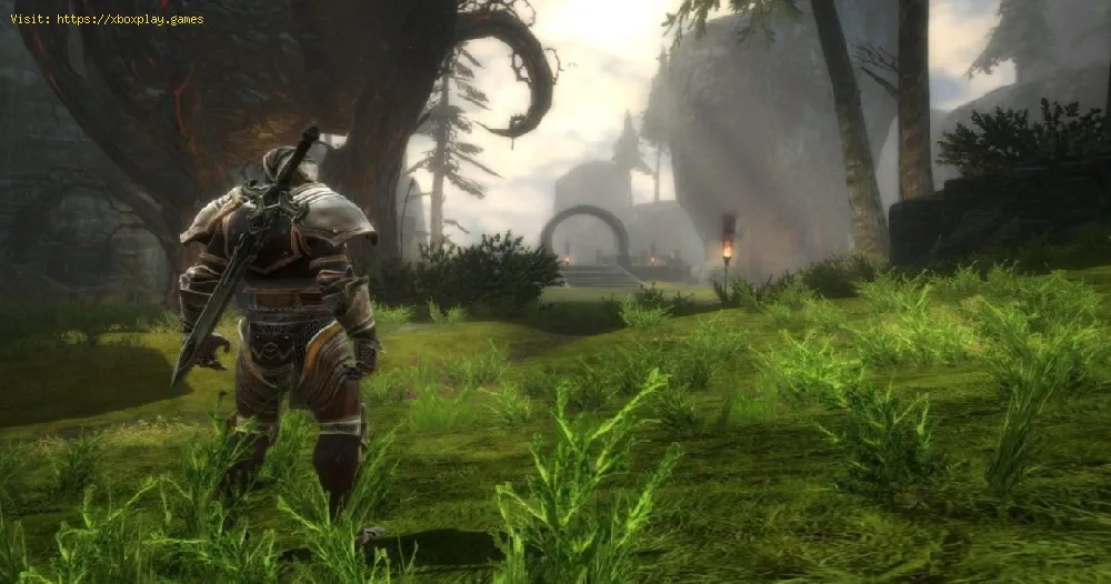 Kingdoms of Amalur: How to get more Inventory Size